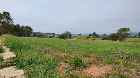 Amb projecte visat i llicència d´obres, immagine 4
