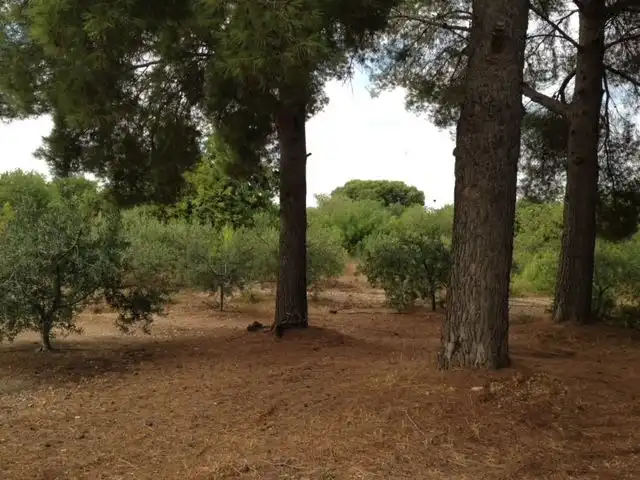 Finca rústica en venda en Valls amb Calefacció, Jardí privat i Terrassa