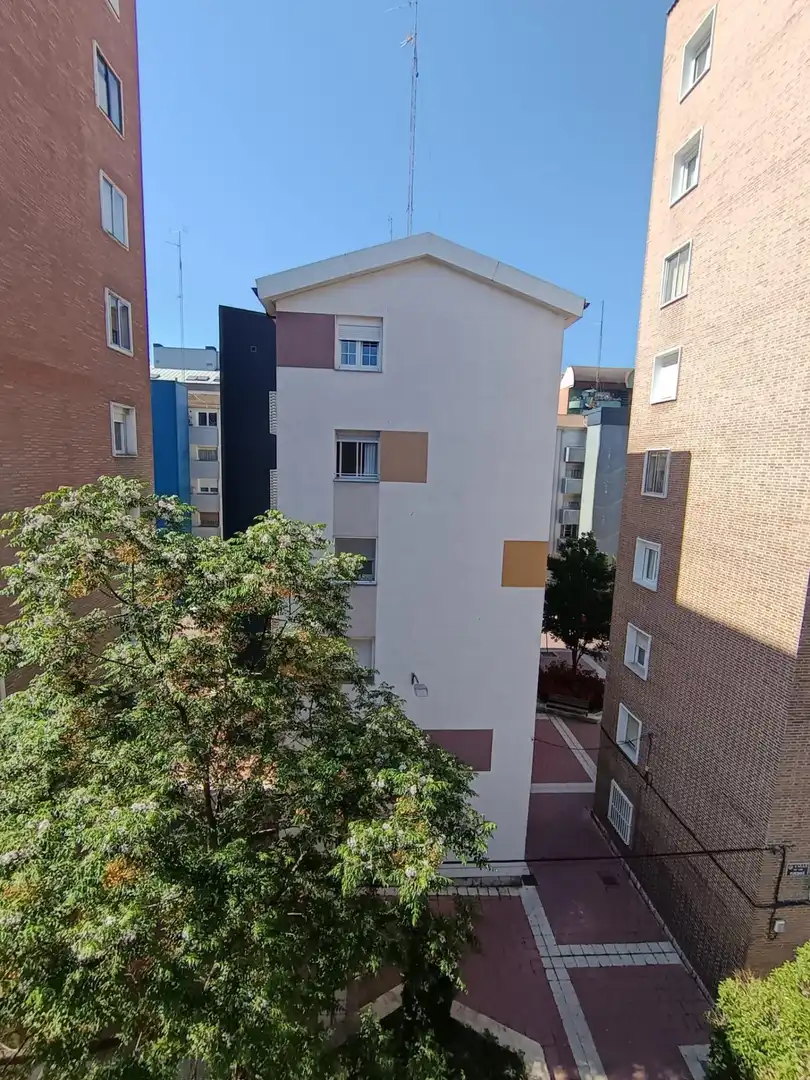Piso de alquiler en Rondilla