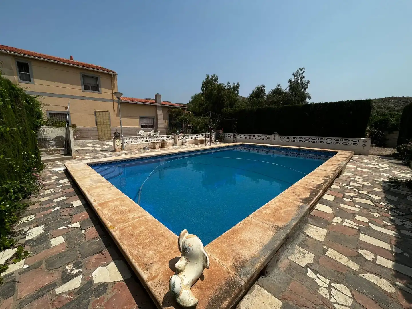 Piscina de Casa o xalet en venda en Novelda amb Jardí privat i Piscina