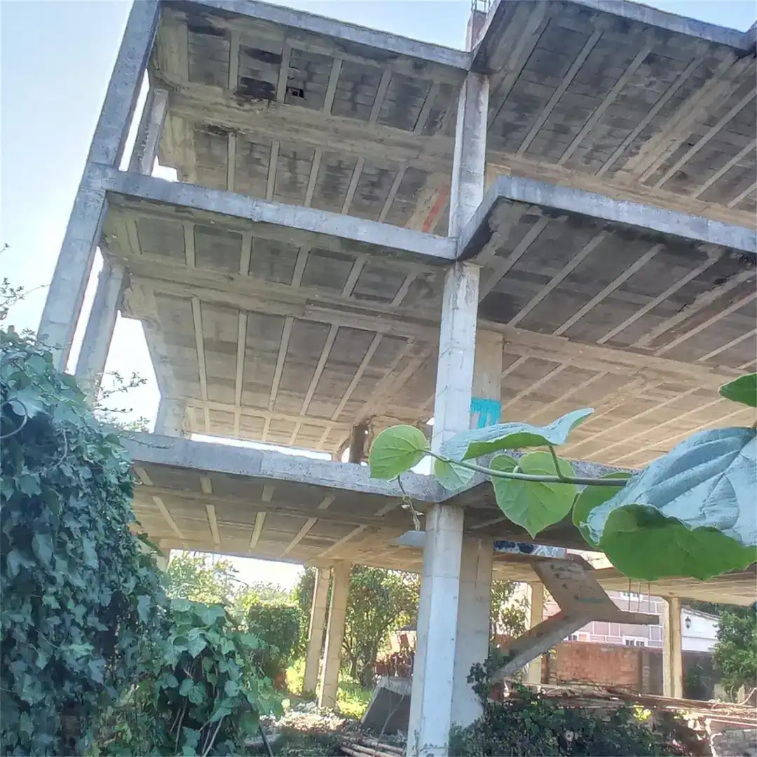Vista exterior de Finca rústica en venta en Vigo 