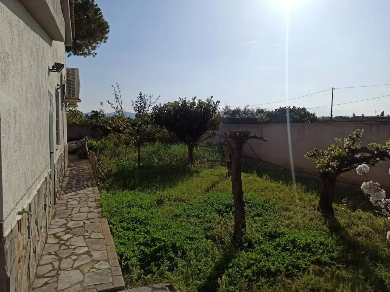 Jardí de Casa o xalet en venda en Benicarló amb Jardí privat i Terrassa