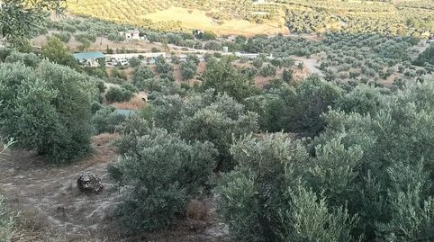 Terreno rustico secano, immagine 5