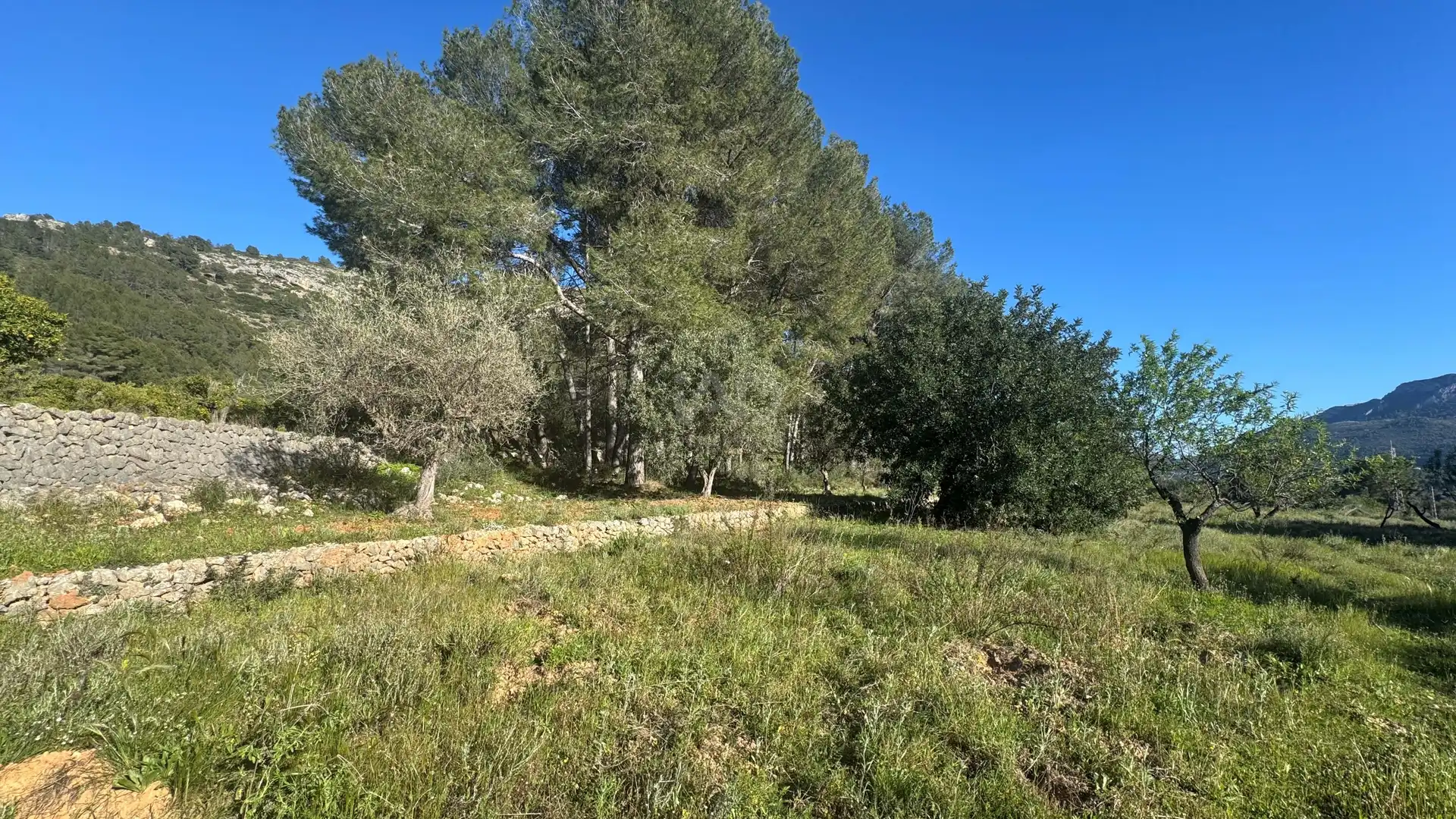 Residential for sale in Murla