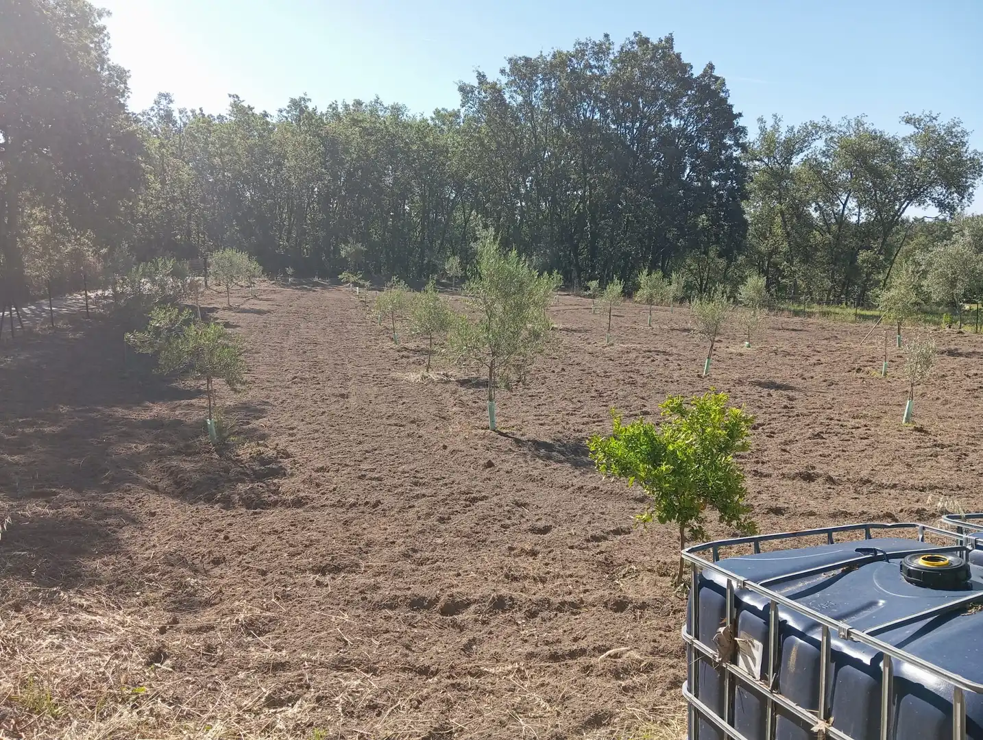 Terreni e lotti in vendita a Jarandilla de la Vera, imagen 6
