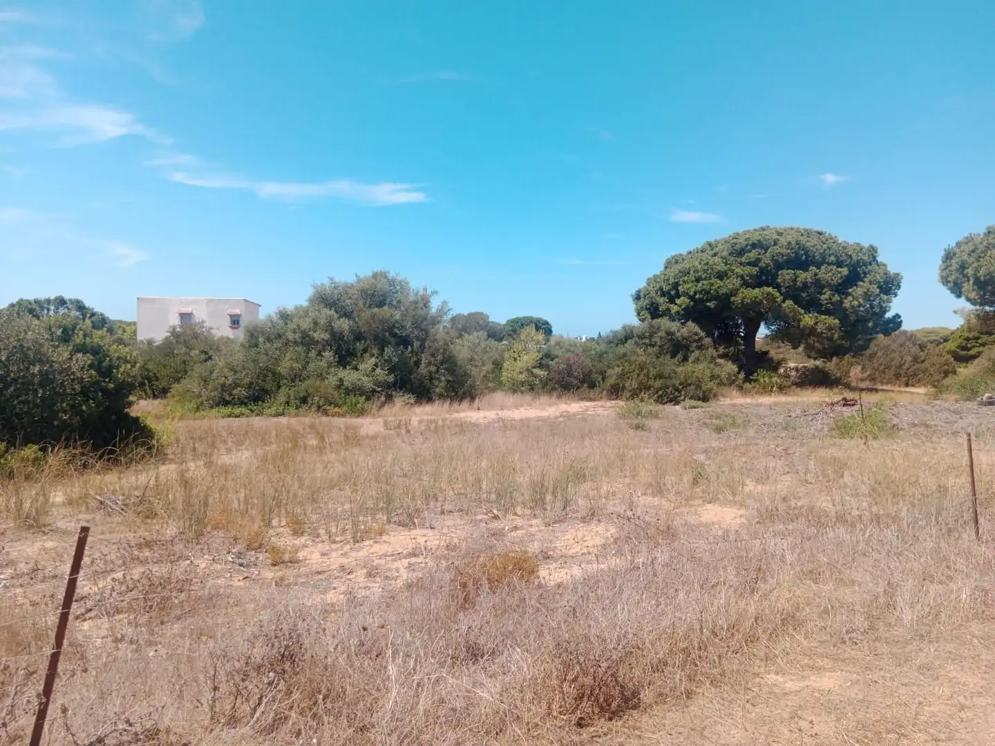 Rustikales Grundstück zum Verkauf in Las Lagunas - Campano, imagen 6