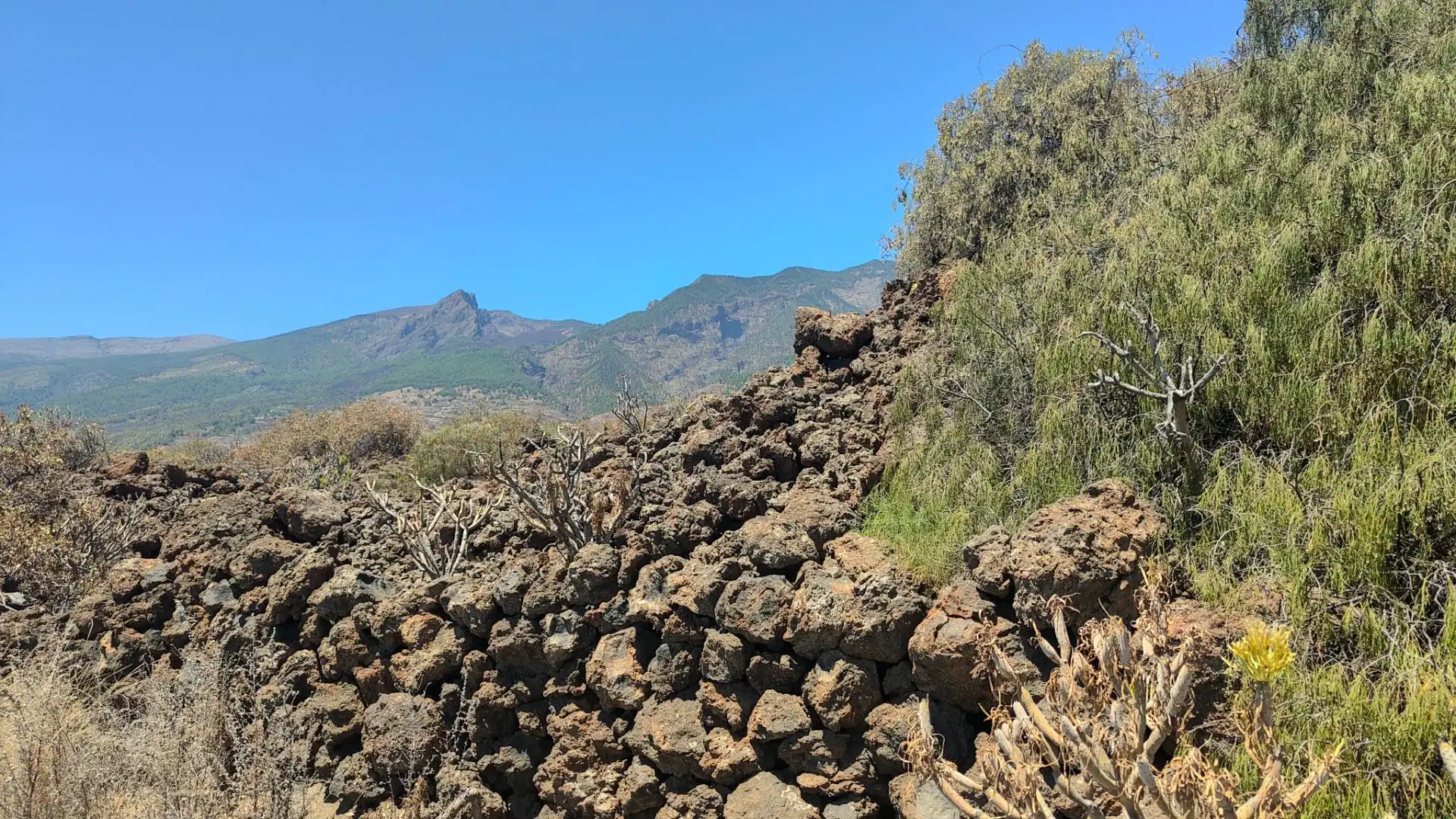 Rural land for sale in Arafo, imagen 4