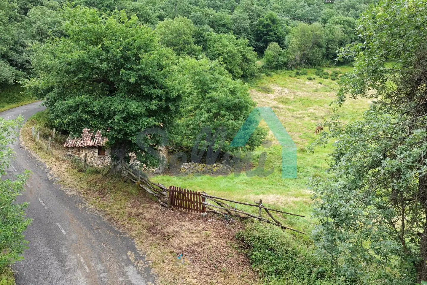 Land for sale in Proaza