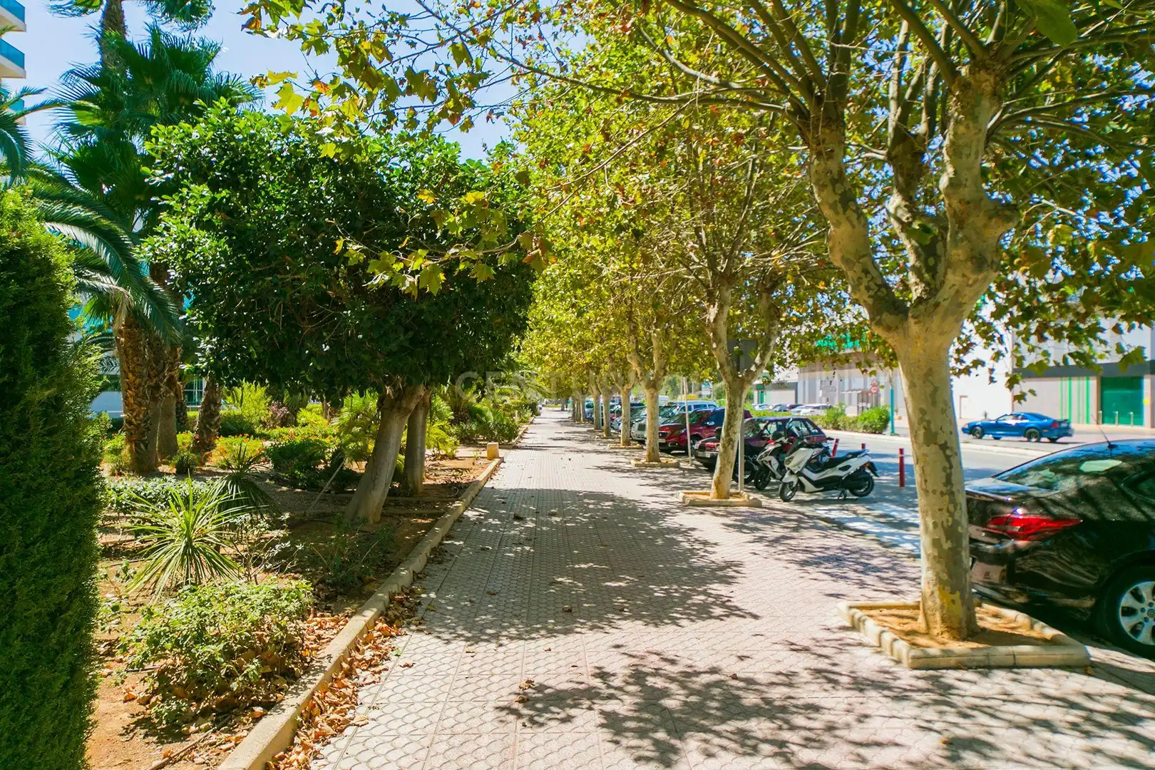 Vista exterior de Apartamento de alquiler en Calpe / Calp con Aire acondicionado, Lavadora y Microondas