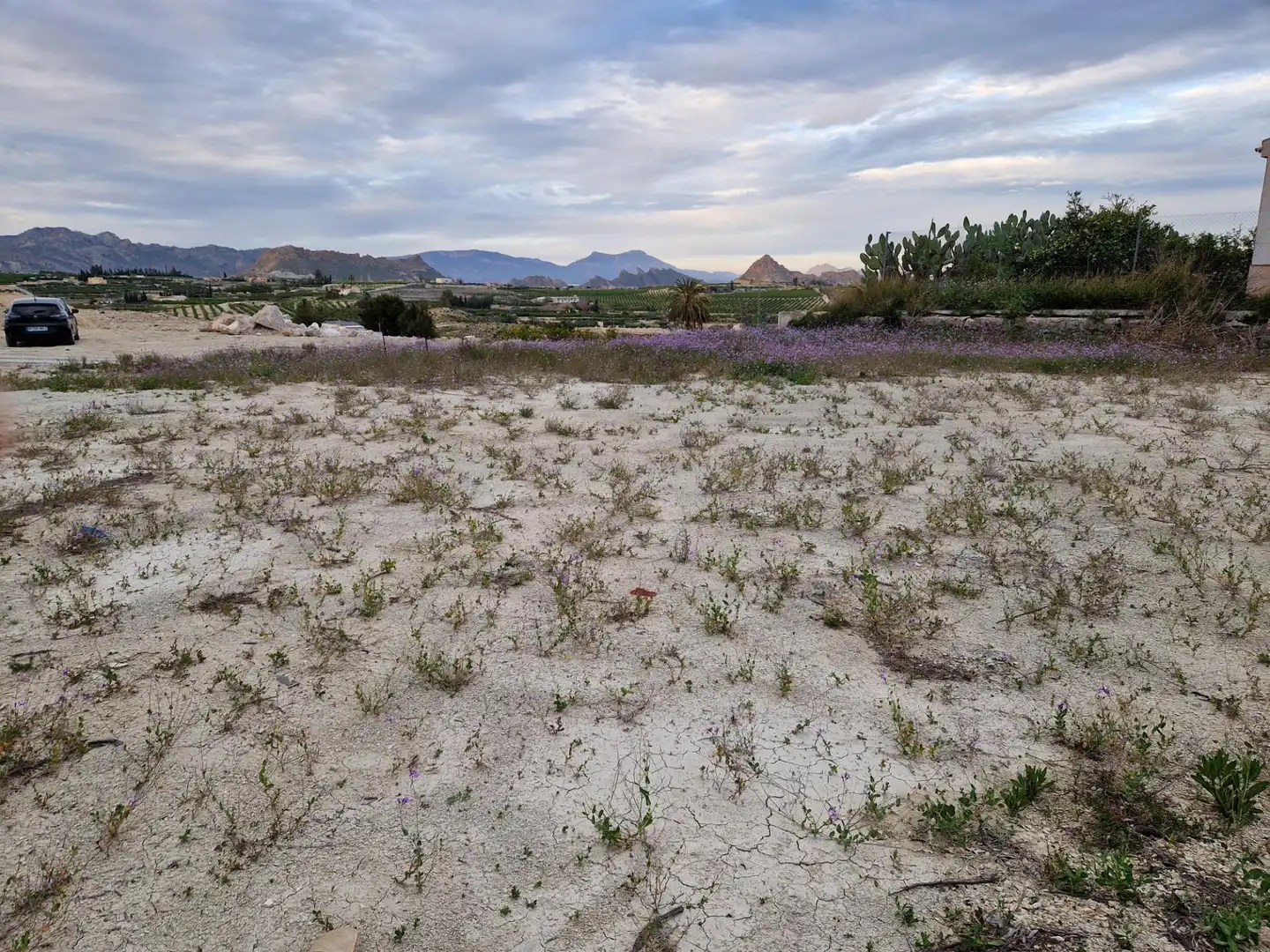 Land for sale in Villanueva del Río Segura