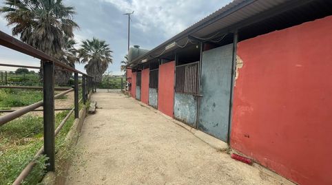 Foto 2 de Finca rústica en venda a Niebla, Huelva