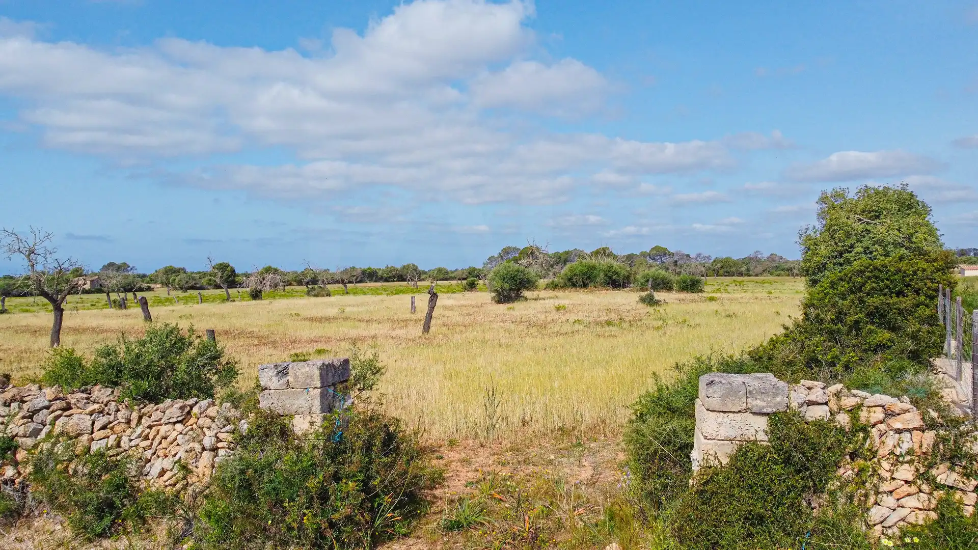 Terreno rustico in vendita a Llucmajor pueblo, imagen 11