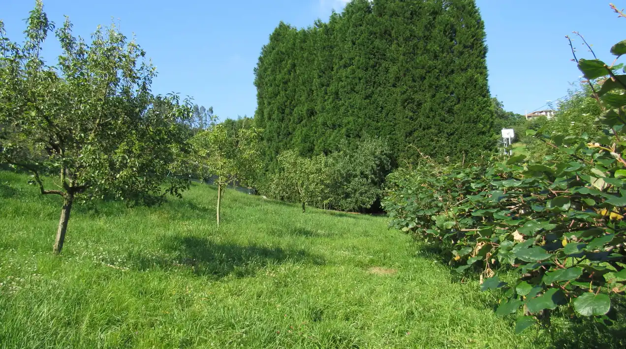 Finca rústica en venda en Pravia amb Calefacció, Jardí privat i Parquet