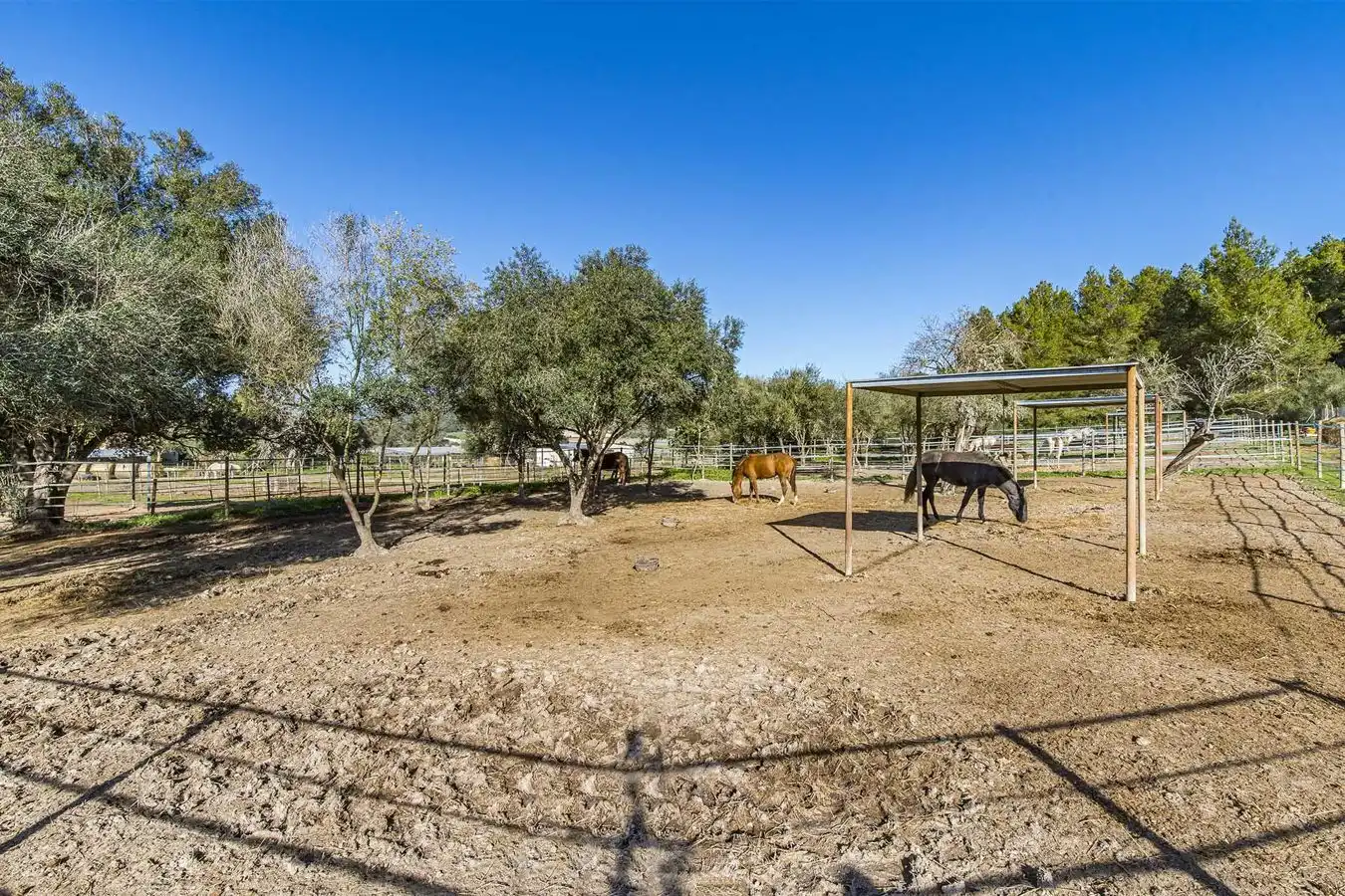 Casa rustica con piscina in vendita a Montuïri, imagen 39