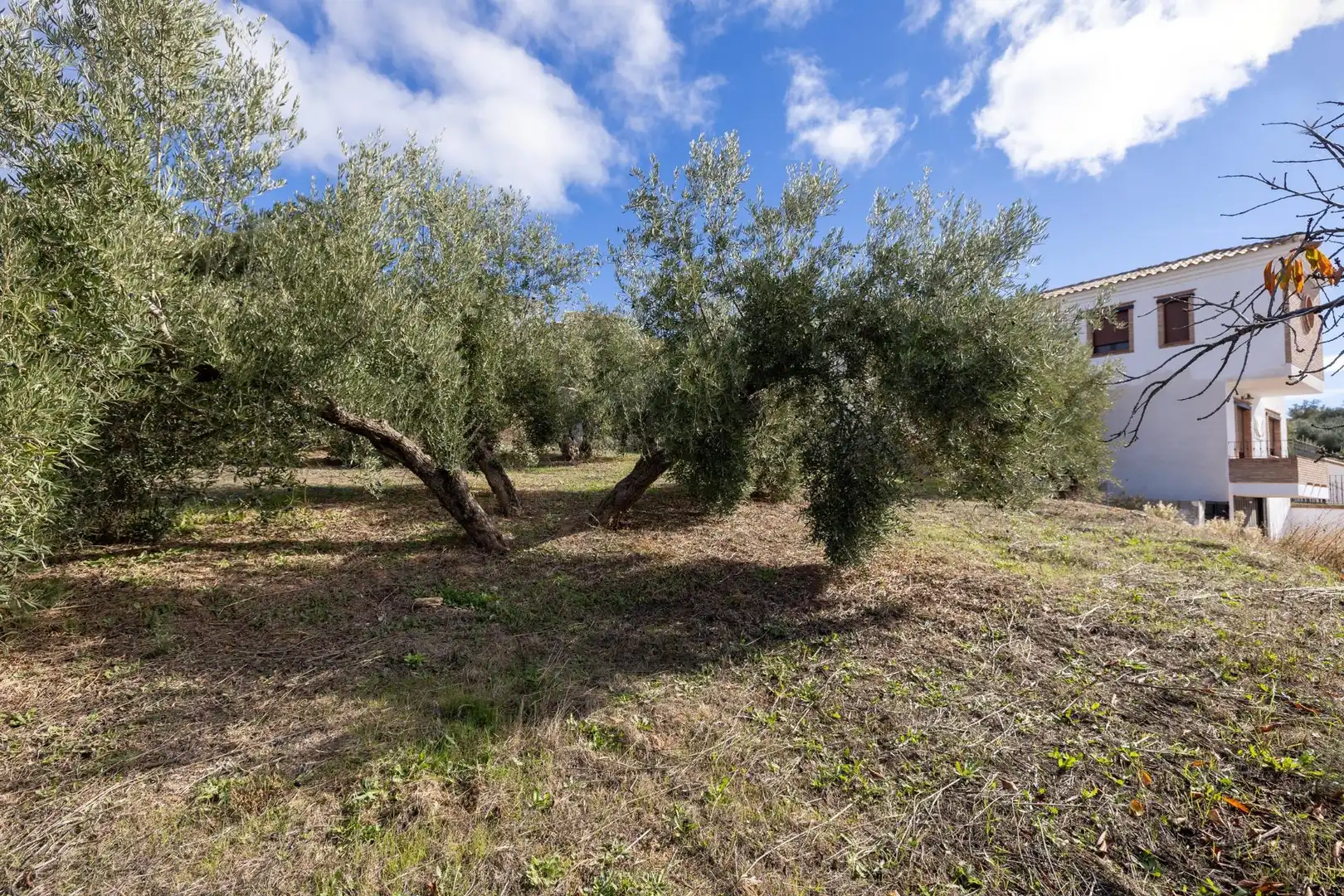 Terreni e lotti in vendita a Nívar, imagen 11