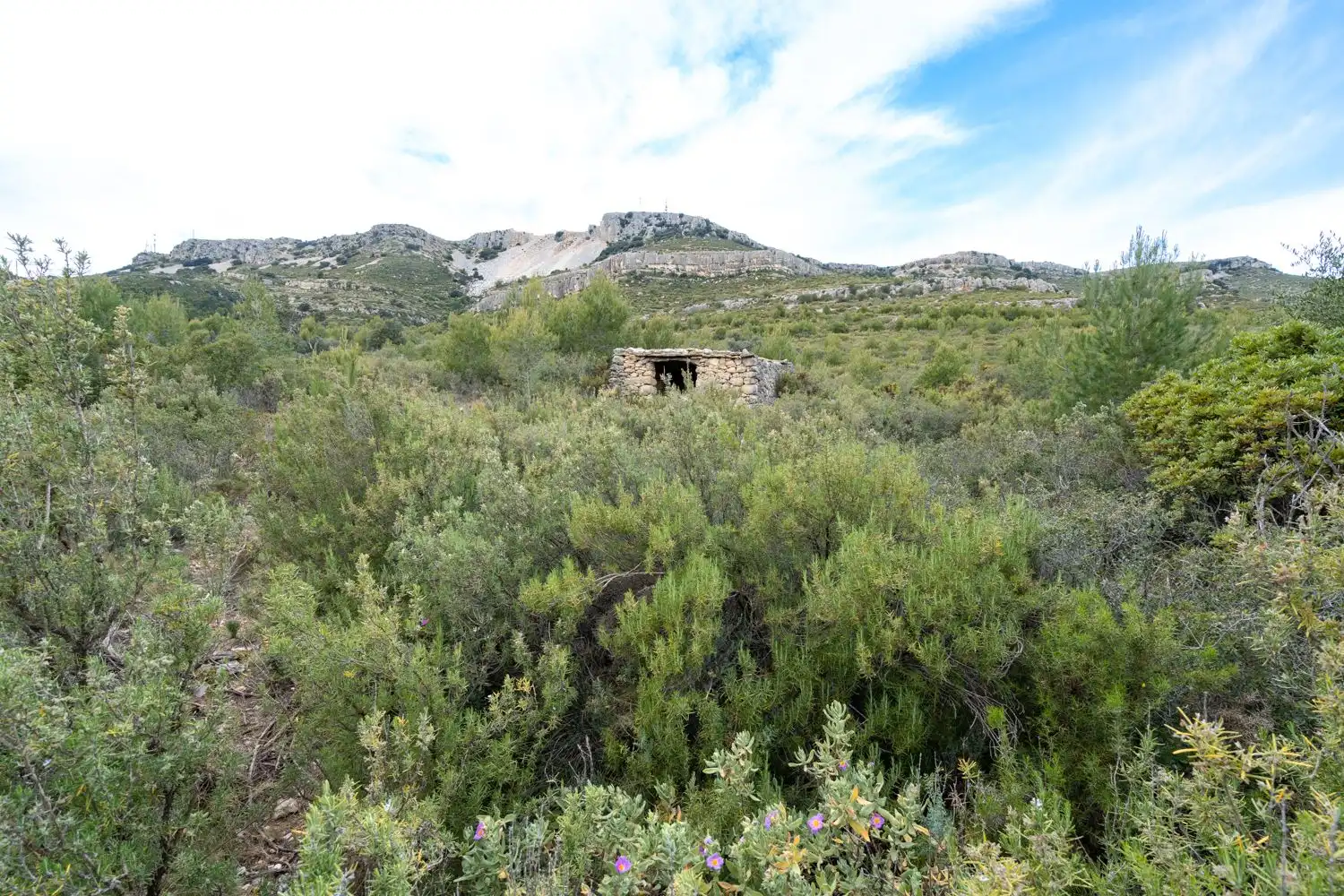 Grundstücke zum Verkauf in Canet lo Roig