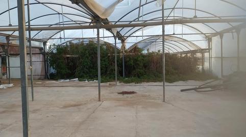 Photo 3 of Land for sale in Cv-84, 9005, El Toscar, Alicante