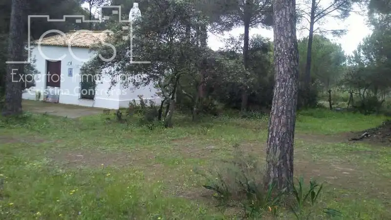 Casa rústica en venda a Almonte ciudad, imagen 5