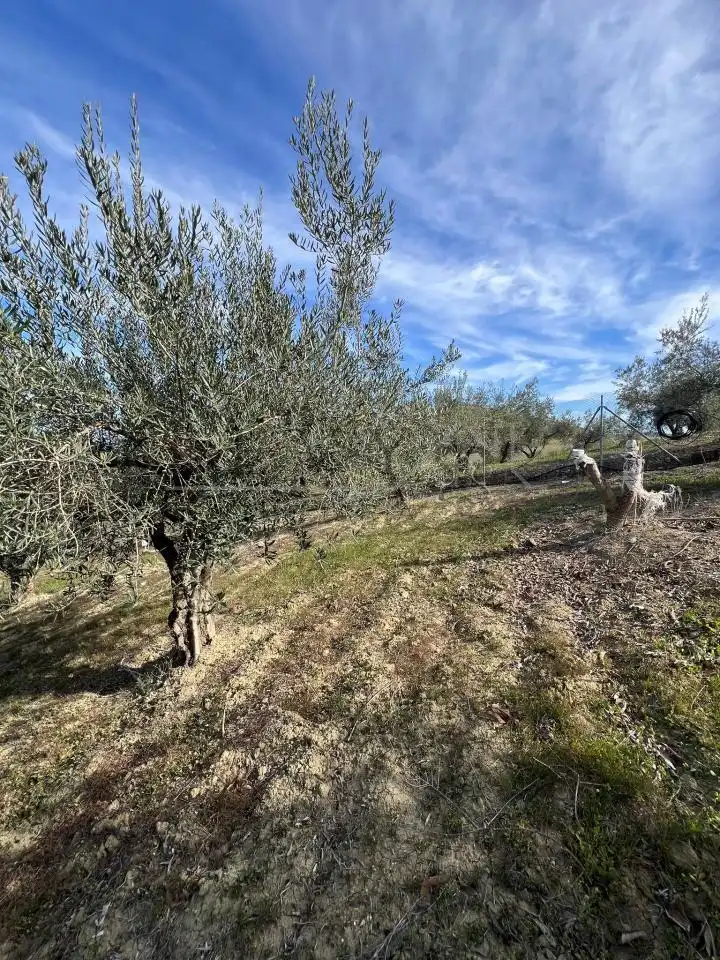 Terreno rustico in vendita a Guaro, imagen 3