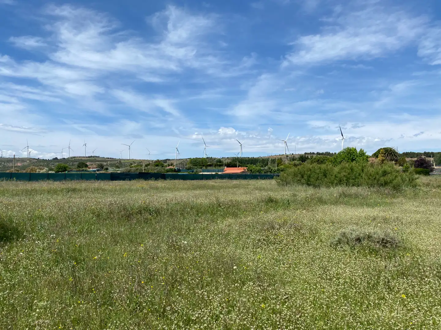 Rural land for sale in Plaza Diego Camporredondo 1, imagen 4