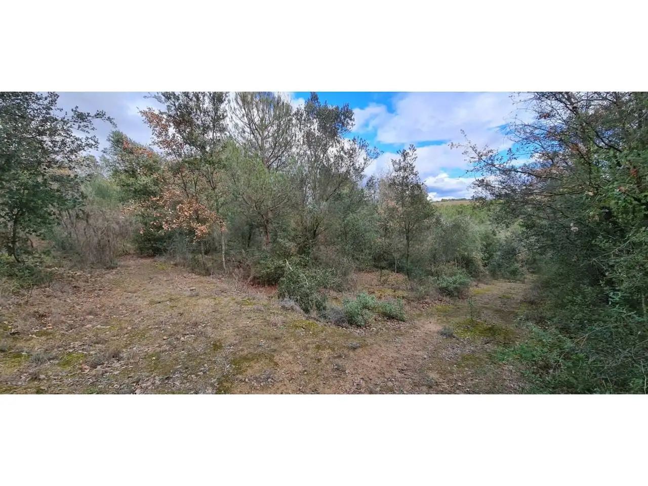 Rural land for sale in Lliçà d'Amunt, imagen 19