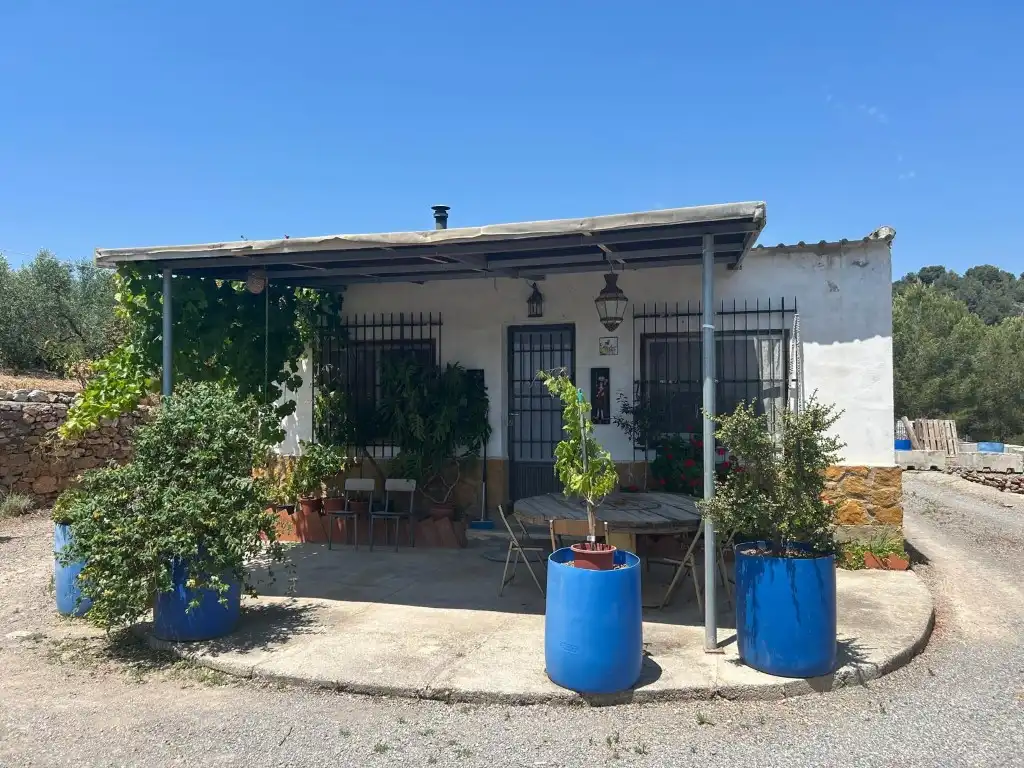 Vista exterior de Finca rústica en venta en Sot de Ferrer