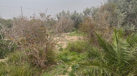 Foto 4 von Grundstücke zum Verkauf in La Algoda - Matola - Llano de San José, Elche / Elx