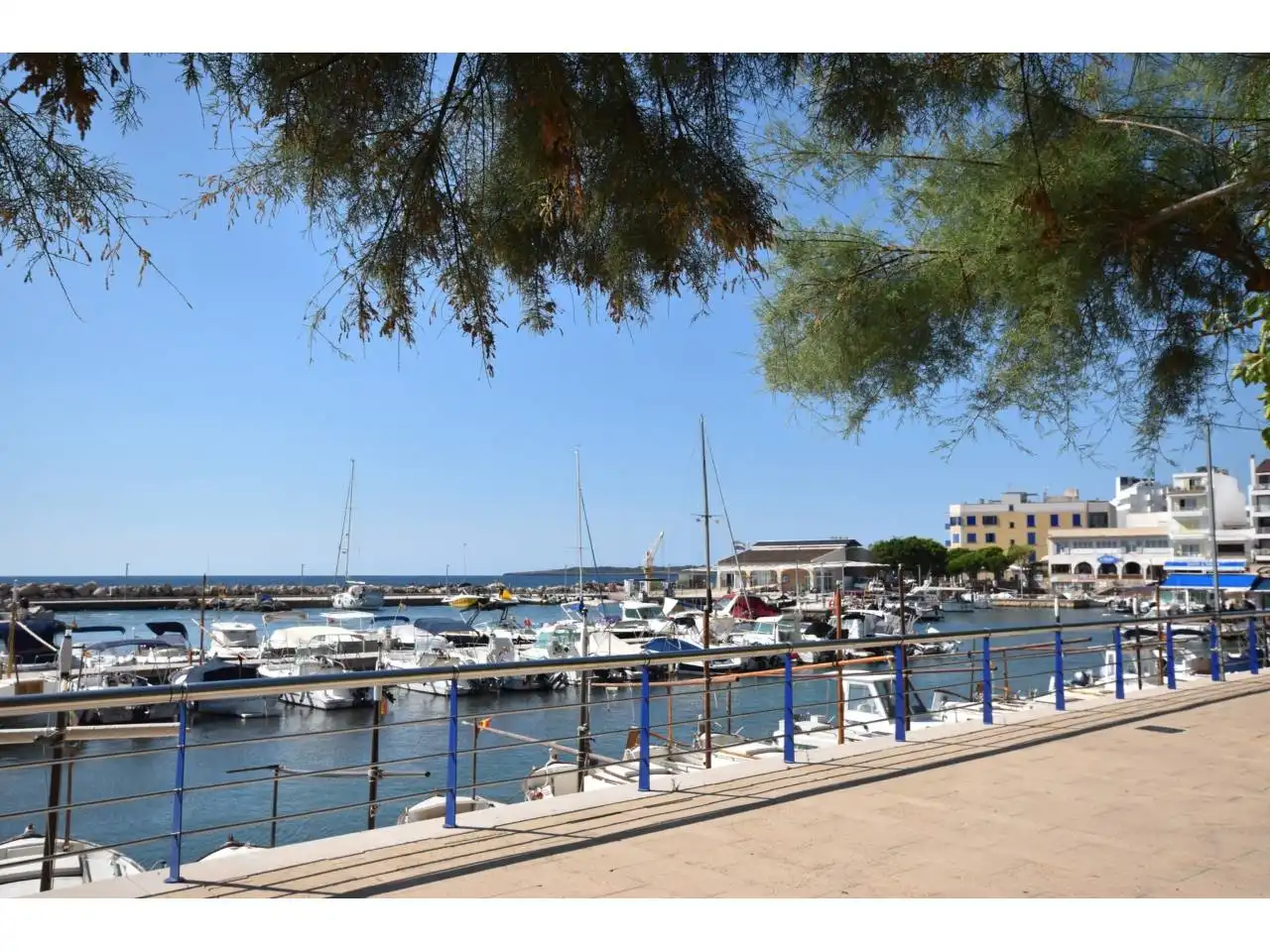 Business premises for sale in Paseo Magdalena Rigo Lliteras 28, imagen 12