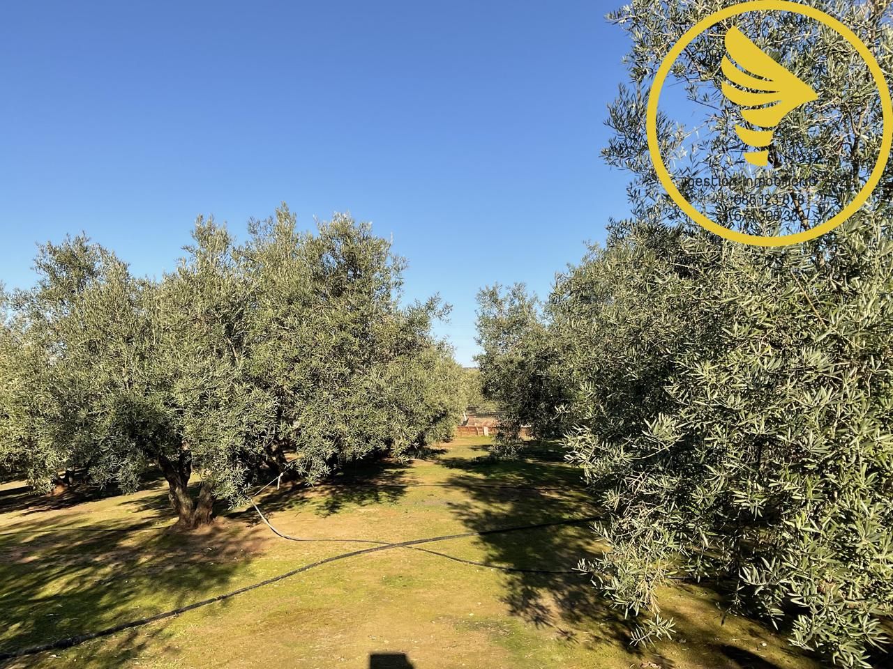 Jardí de Finca rústica en venda en Linares