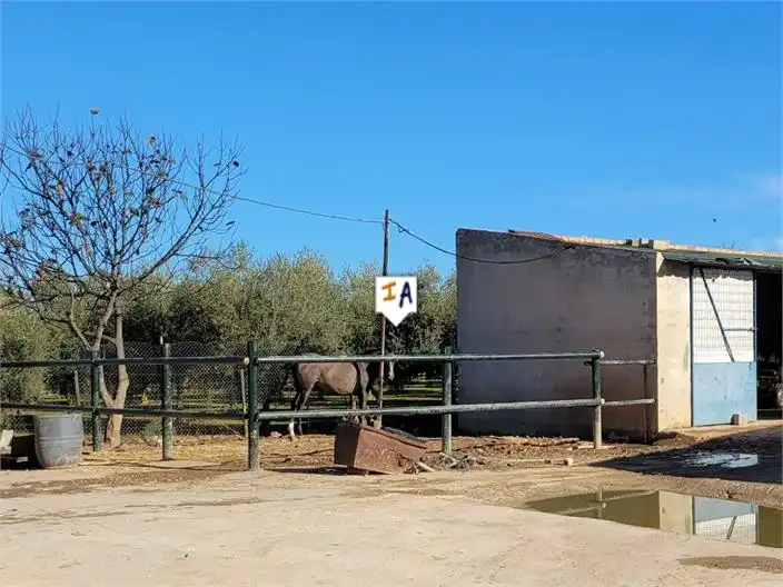 Terreni e lotti in vendita a Mollina, imagen 16