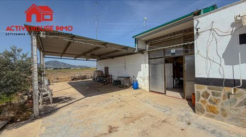 Foto 4 de Finca rústica en venda a Calle Sèquia de la Figuerola Dreta, Eucaliptus - Poble Nou del Delta, Amposta