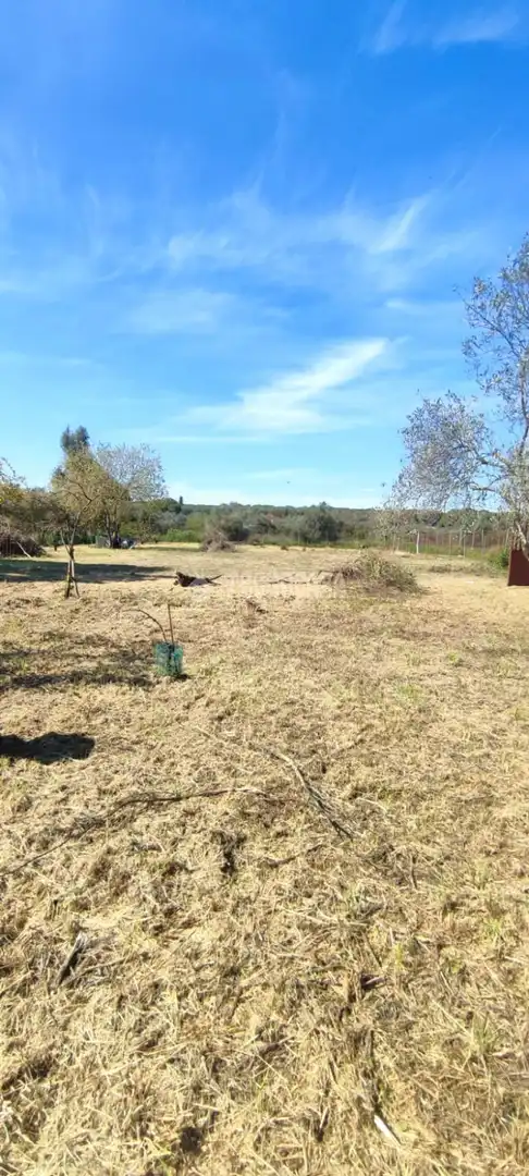 Terreno en venta en Alcalá de Guadaira