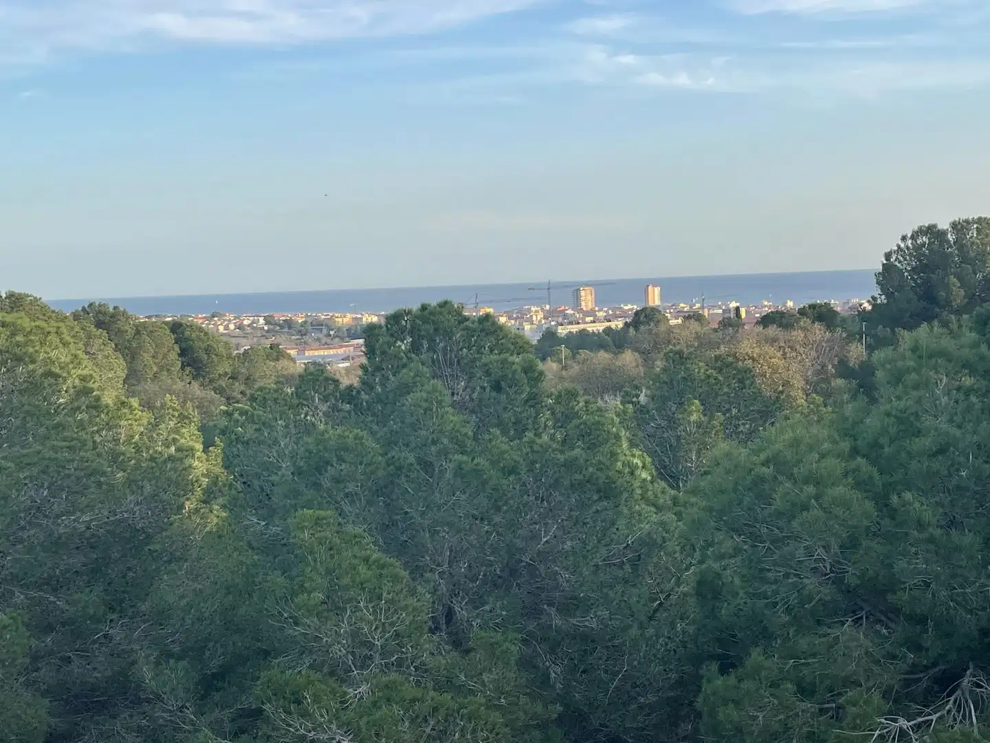 Terrenys i solars en venda a Ciutat Jardí Bonanova, imagen 8