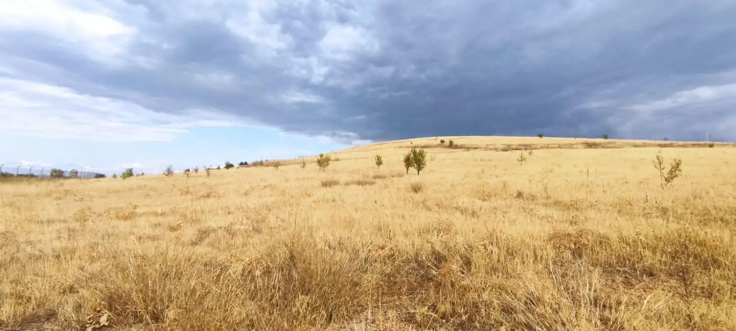 Lands and plots for sale in Valdepeñas