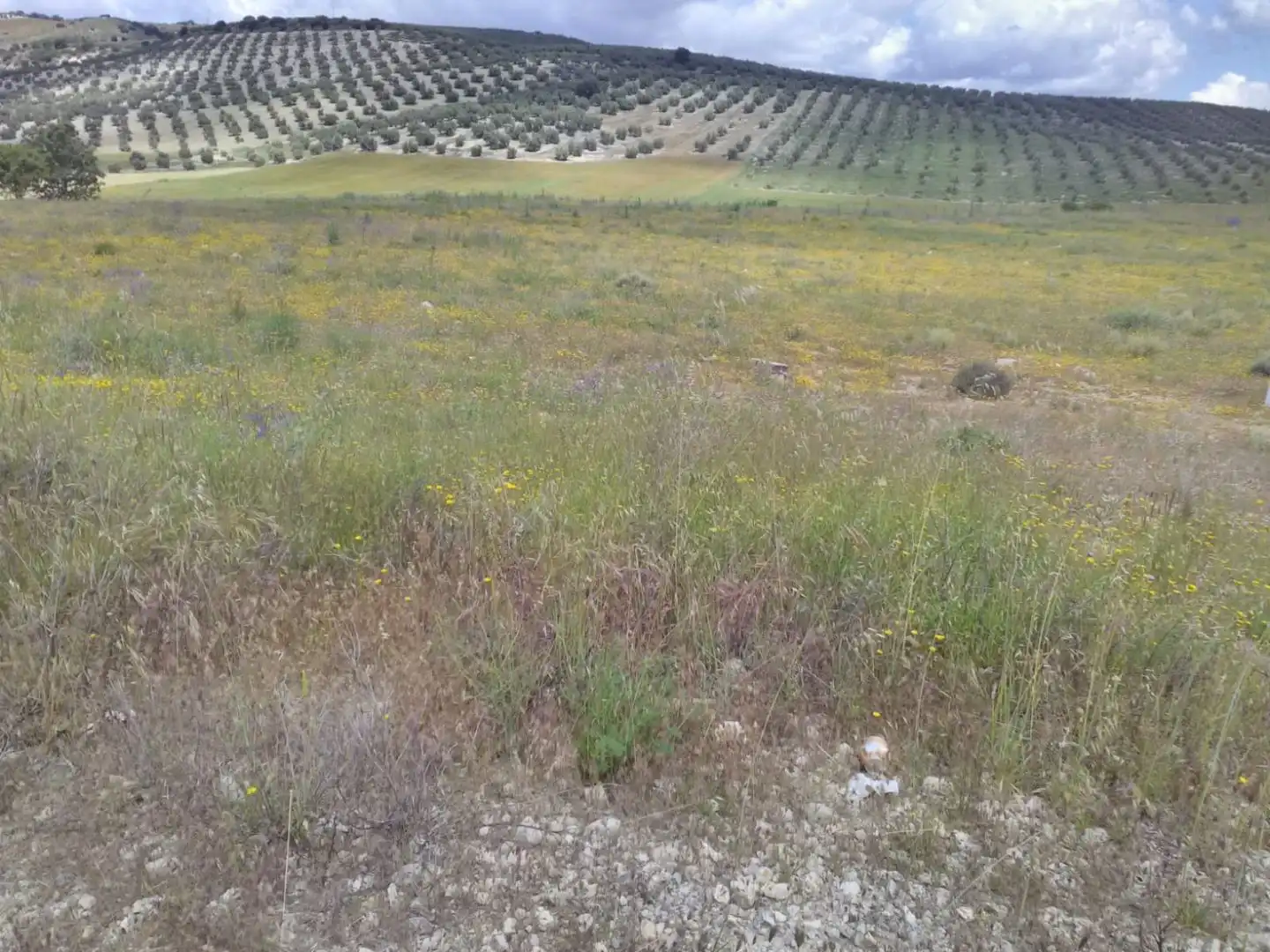 Industrial land for sale in Dehesas Viejas