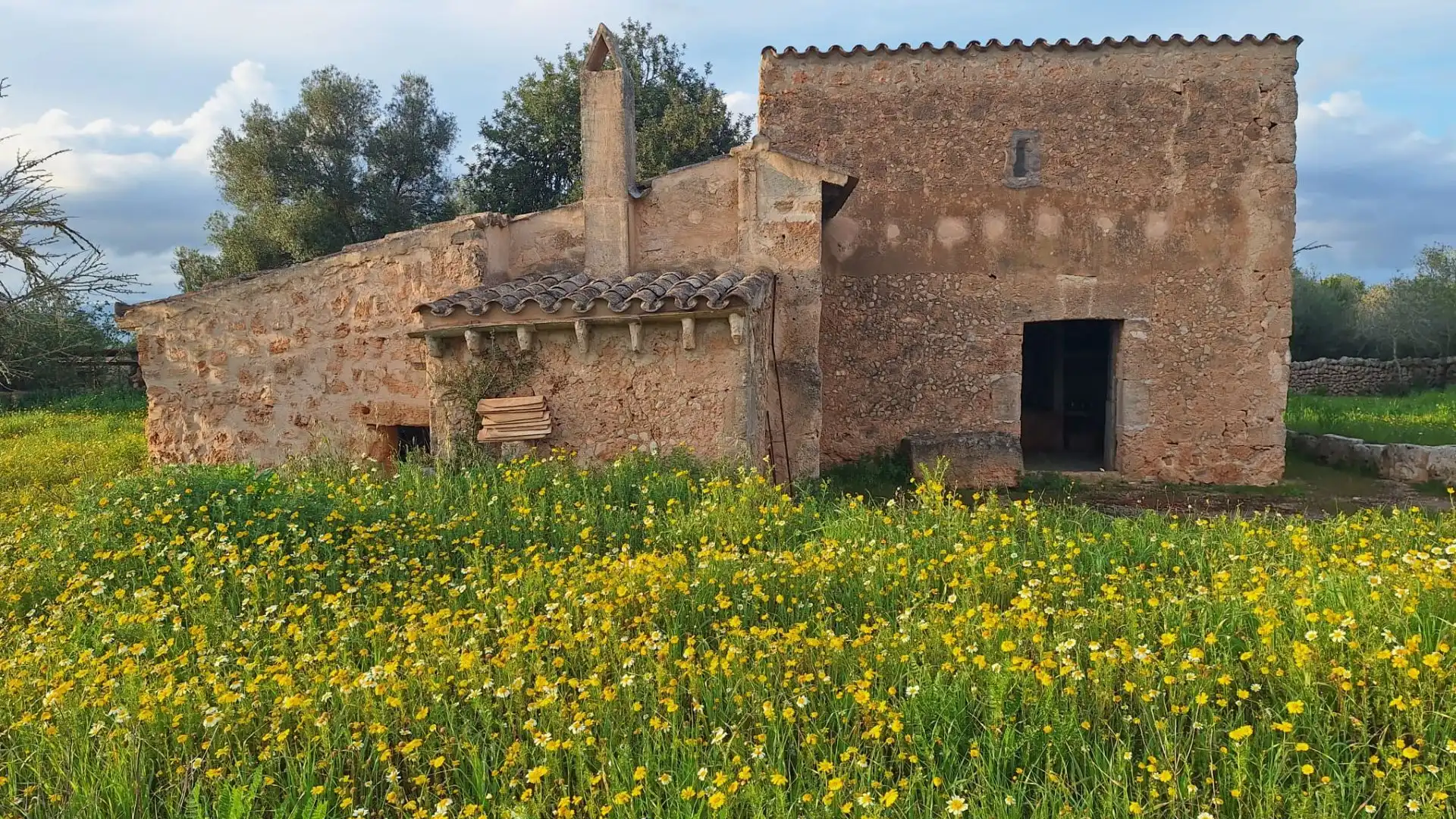 Finca rústica en venta