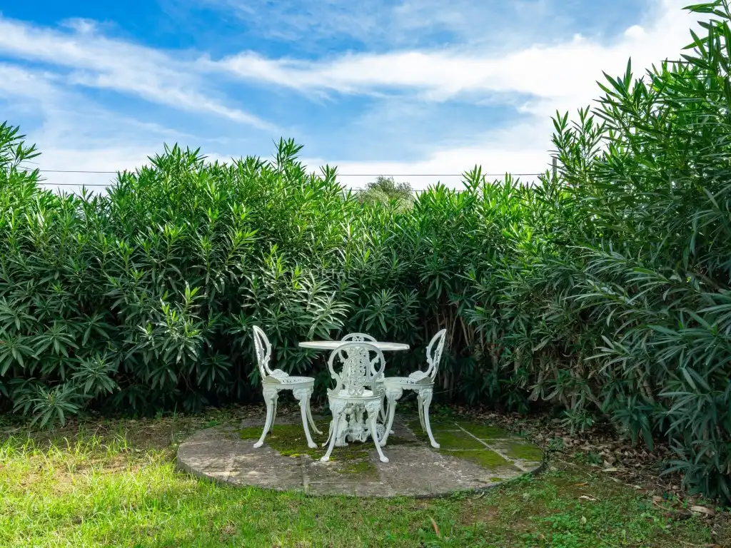 Jardín de Finca rústica en venta en Es Castell