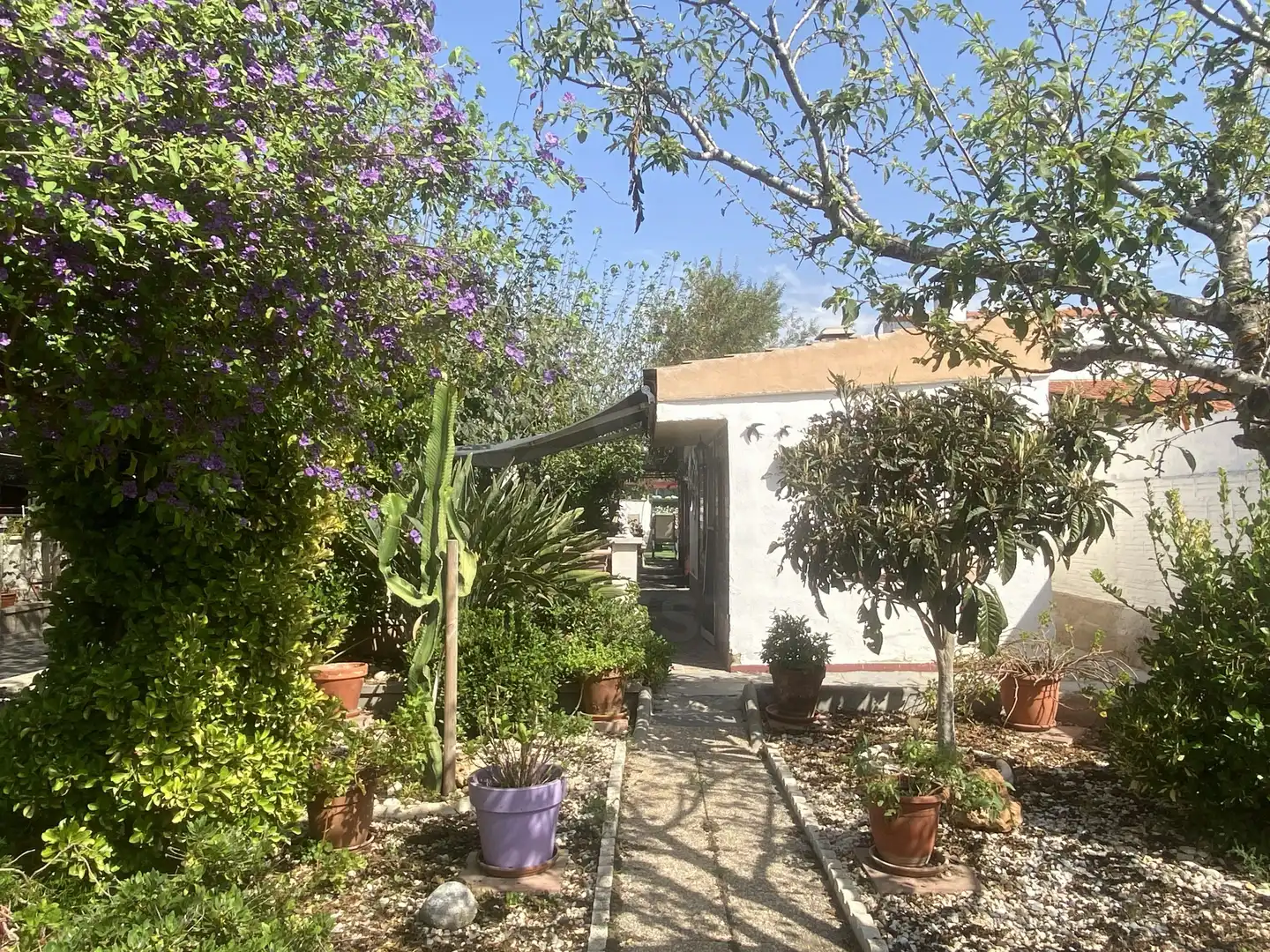 Casa amb piscina en venda a Sant Pere i Sant Pau, imagen 40