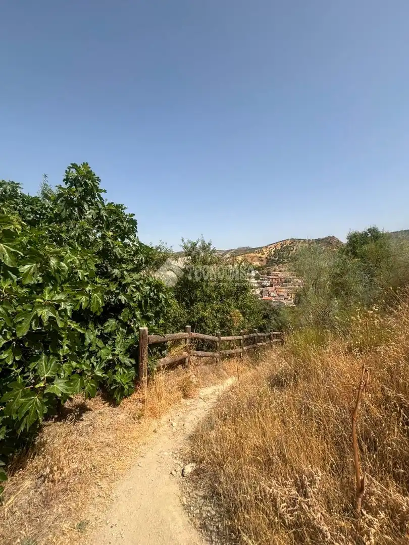 Land for sale in Quéntar