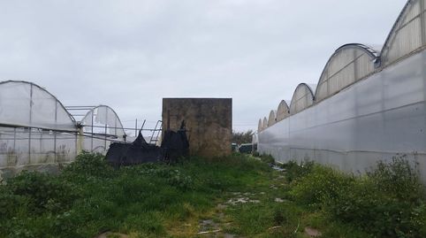 FINCA CON INVERNADERO EN CHIPIONA, imagen 4