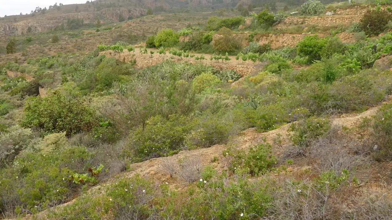 Terreny en venda en Granadilla de Abona