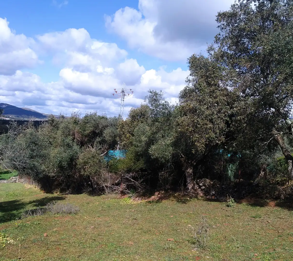 Terreni e lotti in vendita a Jerez de los Caballeros, imagen 4