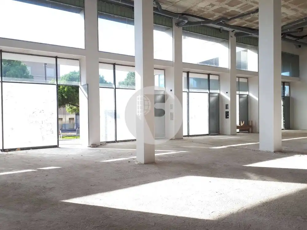 Local comercial en alquiler en Fontsanta - Fatjó, imagen 6