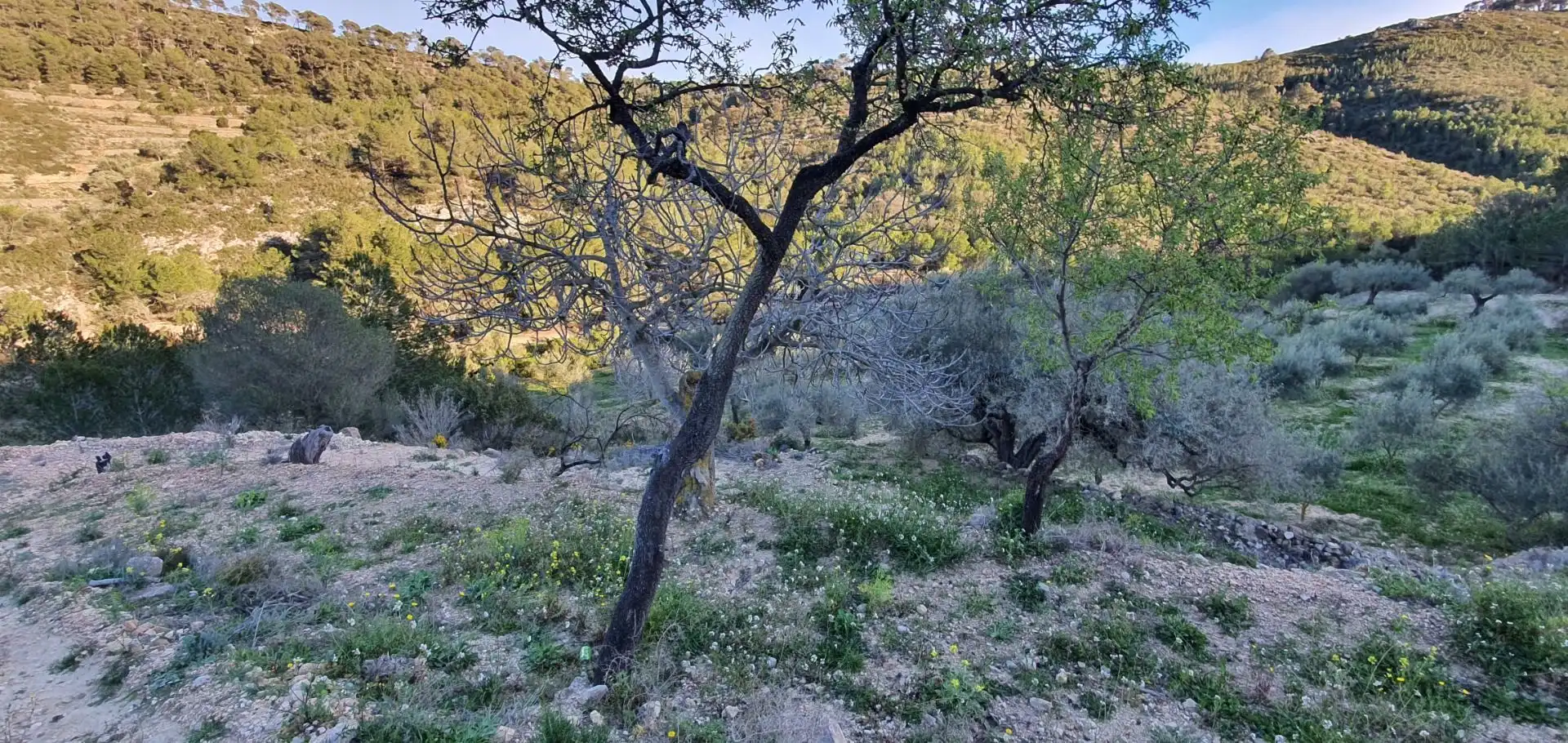 Casa o chalet en venta en Rasquera