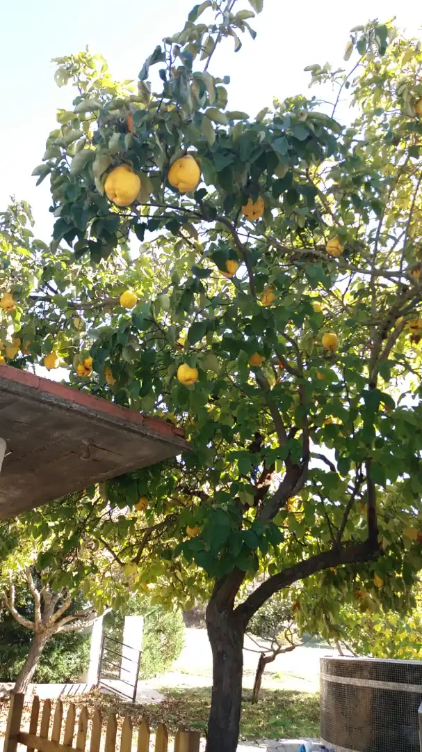 Terreni e lotti in vendita a La Hiniesta, imagen 25