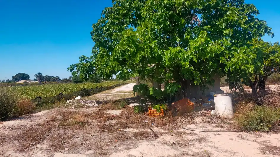 Terrain rustique à vendre à La Foia - Daimés - Asprella, imagen 2