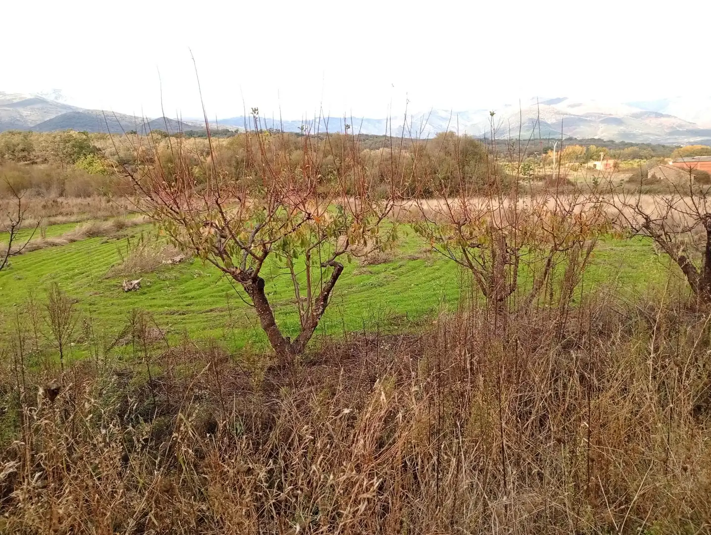 Terreni e lotti in vendita a Villanueva de la Vera, imagen 35