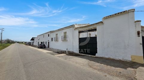 Foto 2 de Finca rústica en venta en Calle Cordoba, Zona de la Vega, Antequera