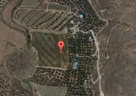 Terrain rustique à vendre à Alcolea, imagen 4