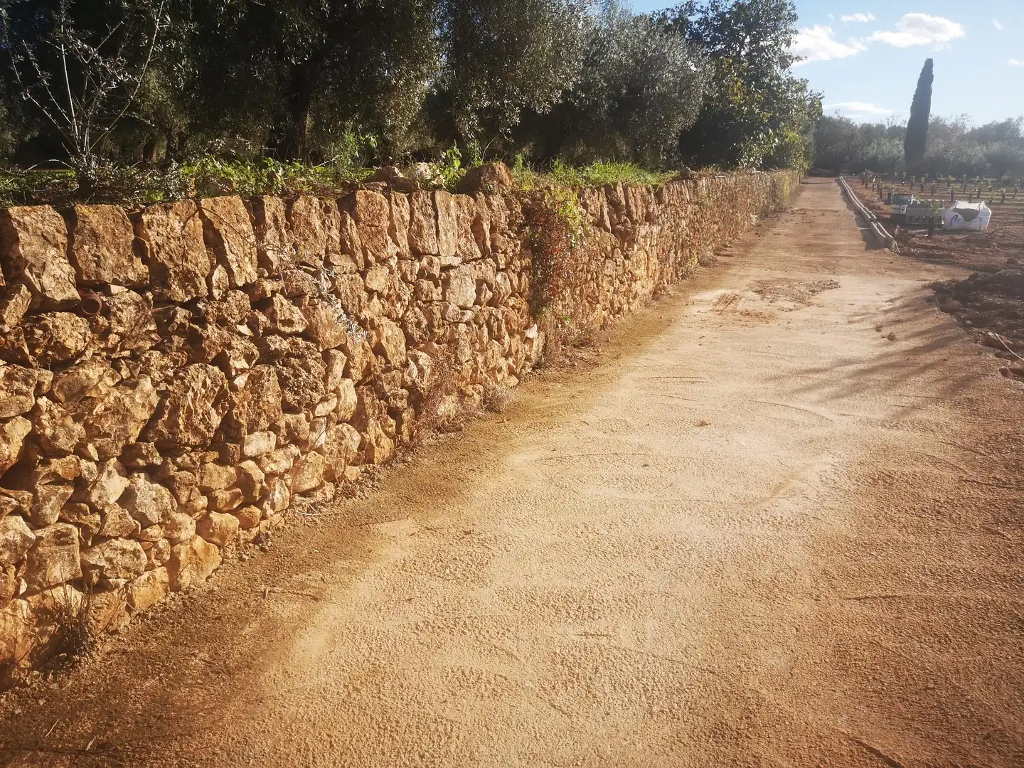 Terreno residenziale in vendita a Ulldecona, imagen 10